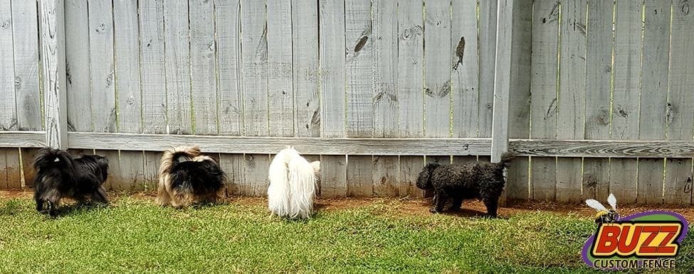 puppy proof wooden fence