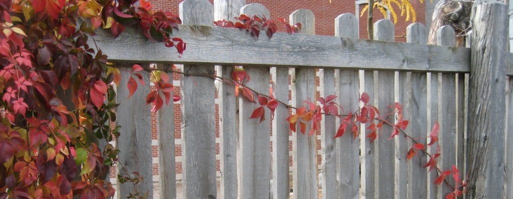 old cedar fence