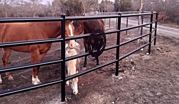 Livestock Fence
