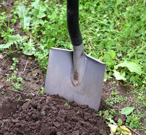 Shovel digging yard