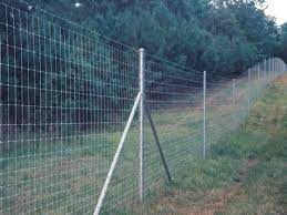 Kangaroo Fence Project