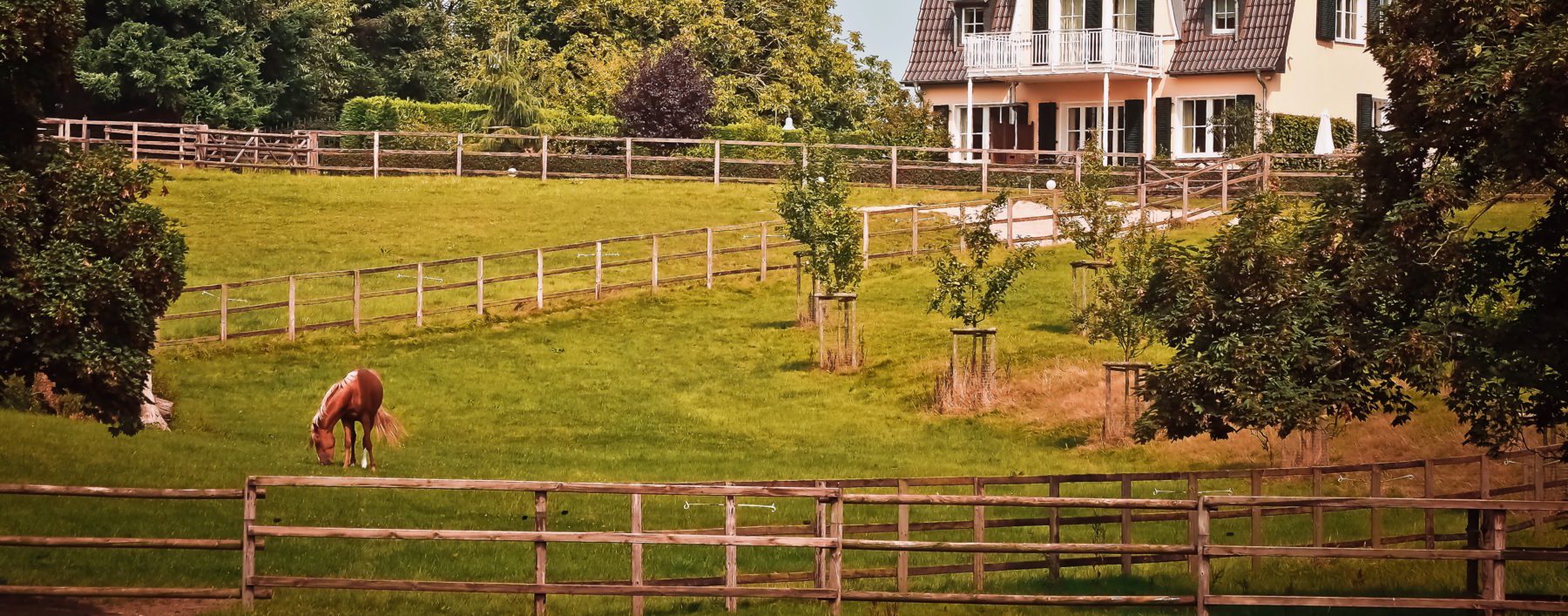 horse fence