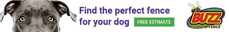 Find the Perfect Fence for your Dog
